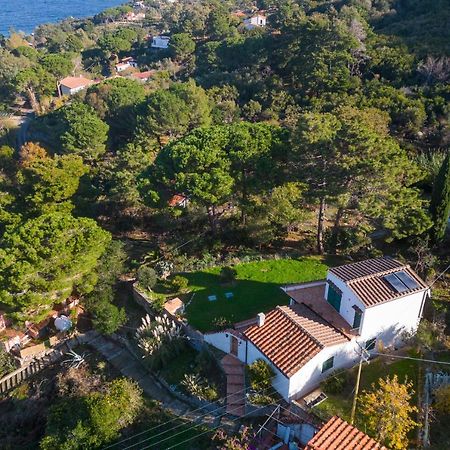 Villa Caterina Quiete E Mare-Goelba SantʼAndrea Buitenkant foto