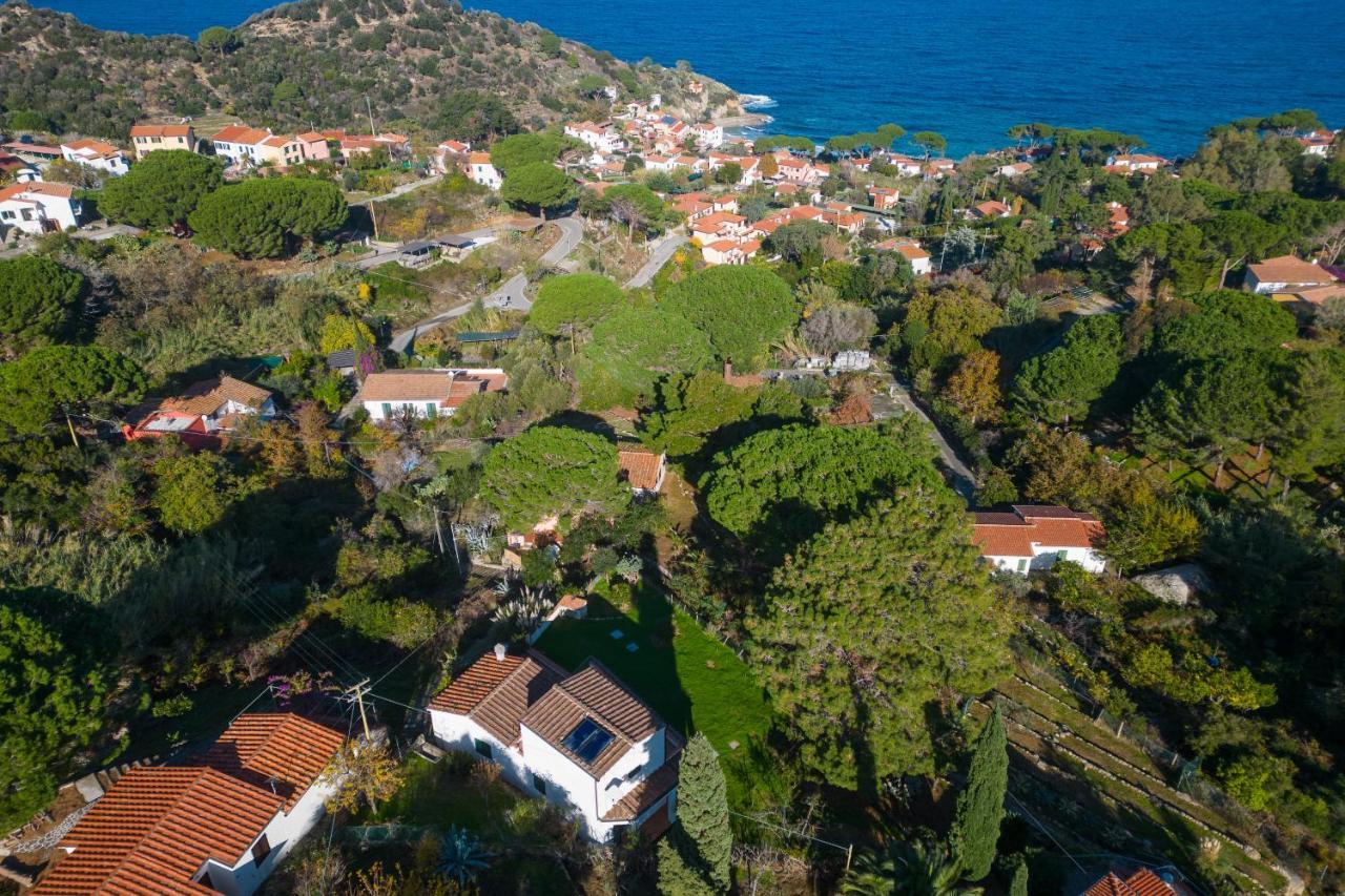 Villa Caterina Quiete E Mare-Goelba SantʼAndrea Buitenkant foto