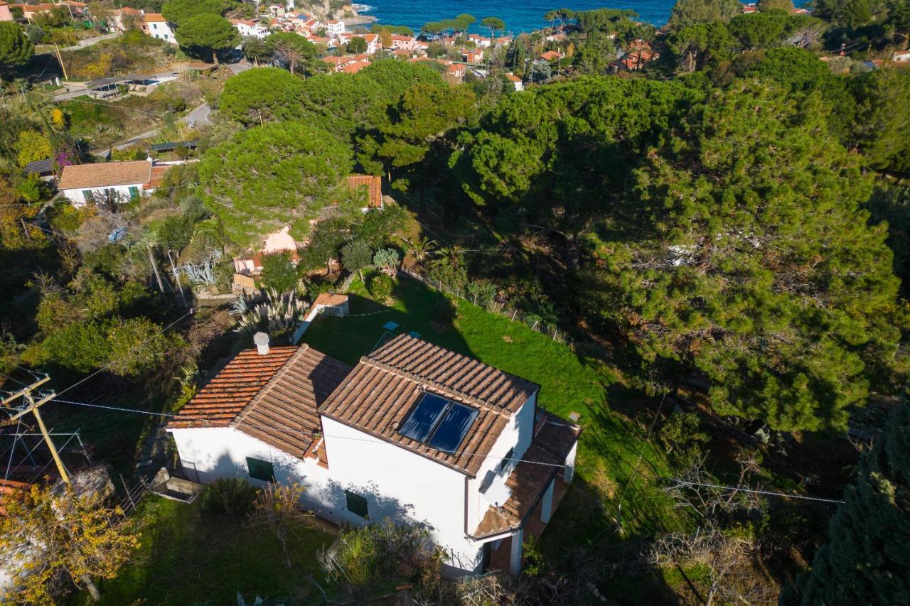 Villa Caterina Quiete E Mare-Goelba SantʼAndrea Buitenkant foto
