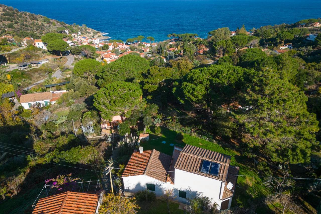 Villa Caterina Quiete E Mare-Goelba SantʼAndrea Buitenkant foto